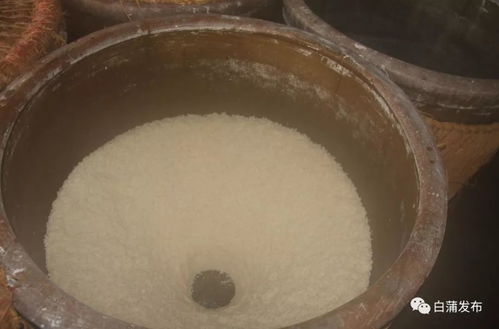 尋味鄉(xiāng)土 品純釀、嘗香米、享地道特產(chǎn)之趣